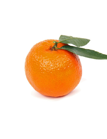 Orangen-l