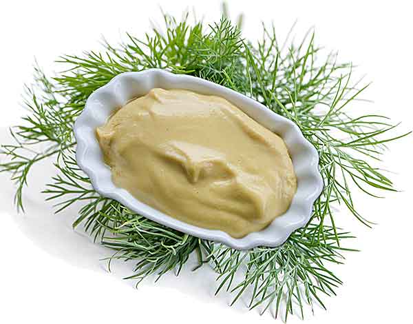 Dill-Senf-Sauce (NEU)