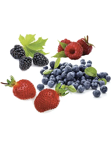 Waldbeeren (NEU)
