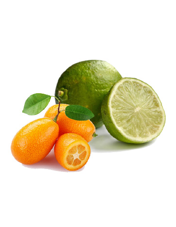 Kumquat-Limetten-Zitronen-Essig