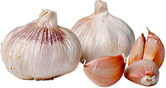 Knoblauch Gewürz